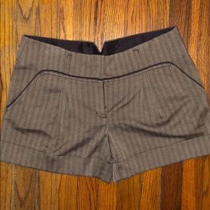 BCBG Maxazria Shorts 10